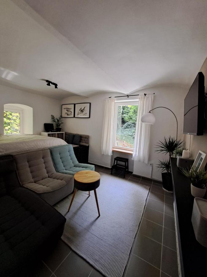 City Centar Apartman With Garden Apartment Zagreb Exterior foto